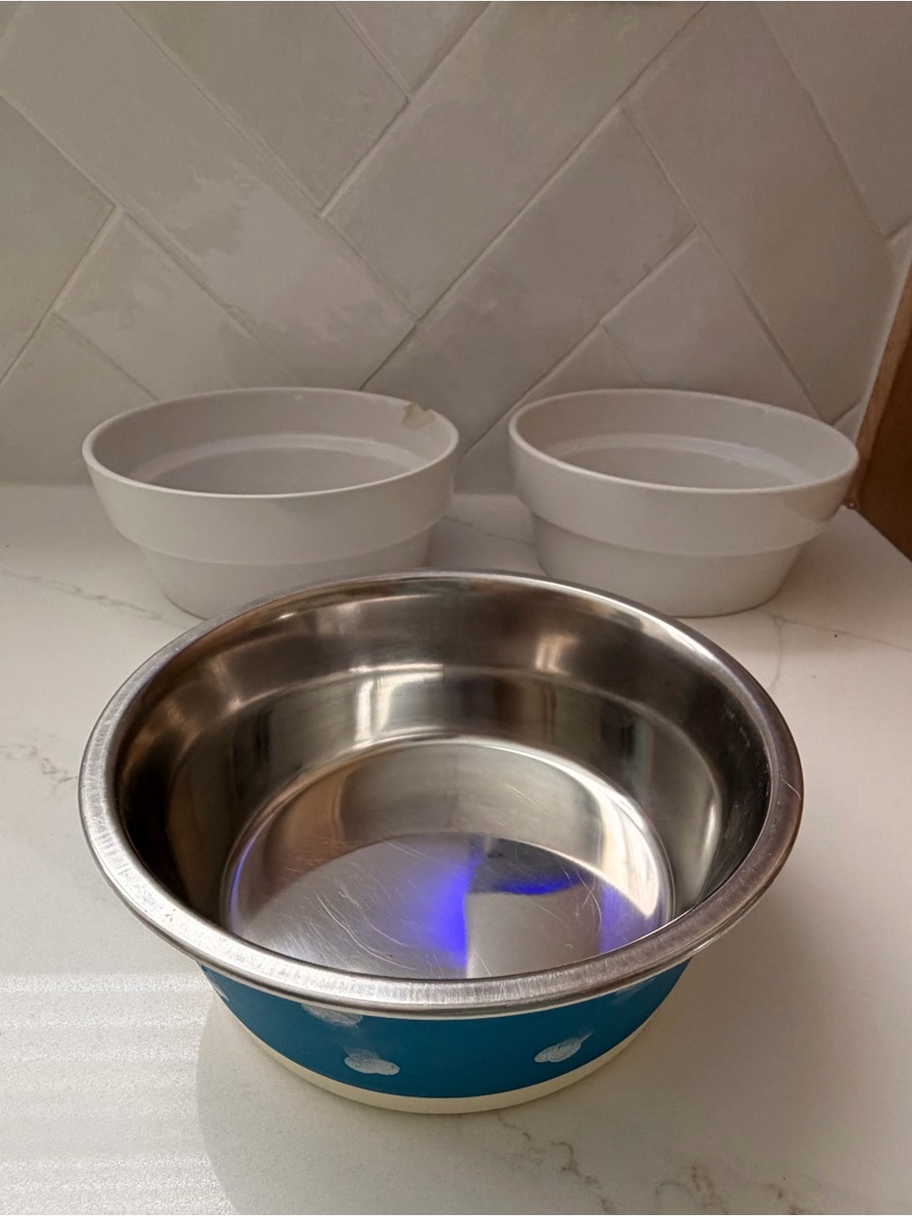 Blue Stainless Steel Pet Bowl & White Silicone Base and Two White Ceramic Bowls